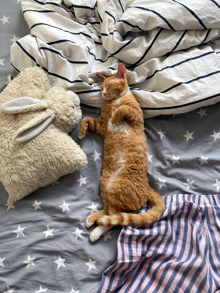 Beds & Comfort