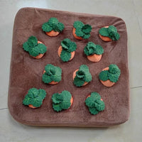 CarrotPaw™ Snuffle Mat — Vet-Approved Boredom Buster