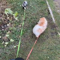 DuoWalk™ LED Dual Dog Leash – Tangle-Free, Safe Night Walking