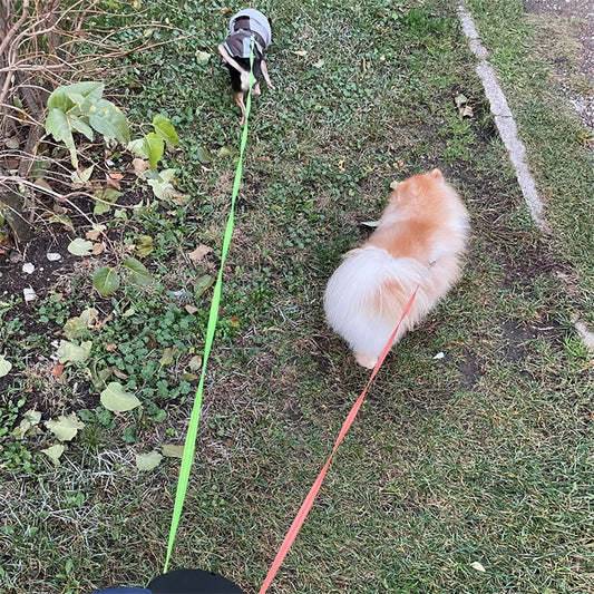 DuoWalk™ LED Dual Dog Leash – Tangle-Free, Safe Night Walking