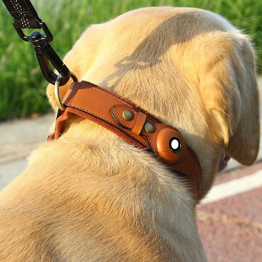 PetTrack™ AirTag Collar