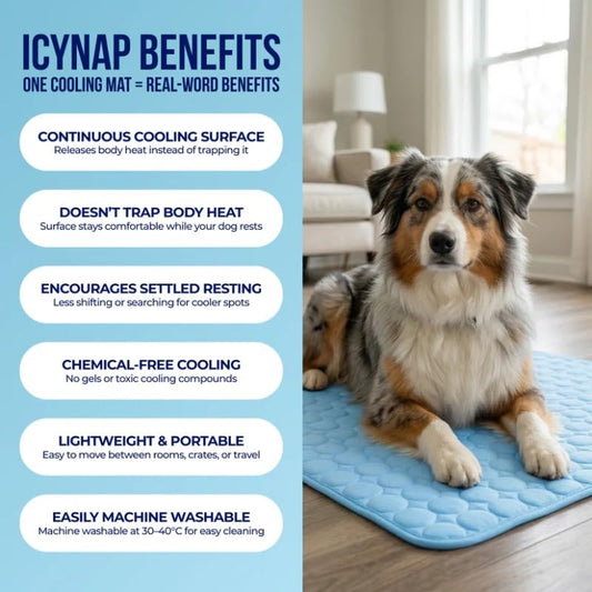 CoolPaw Self-Cooling Pad — No Water, No Fridge, Just Cool