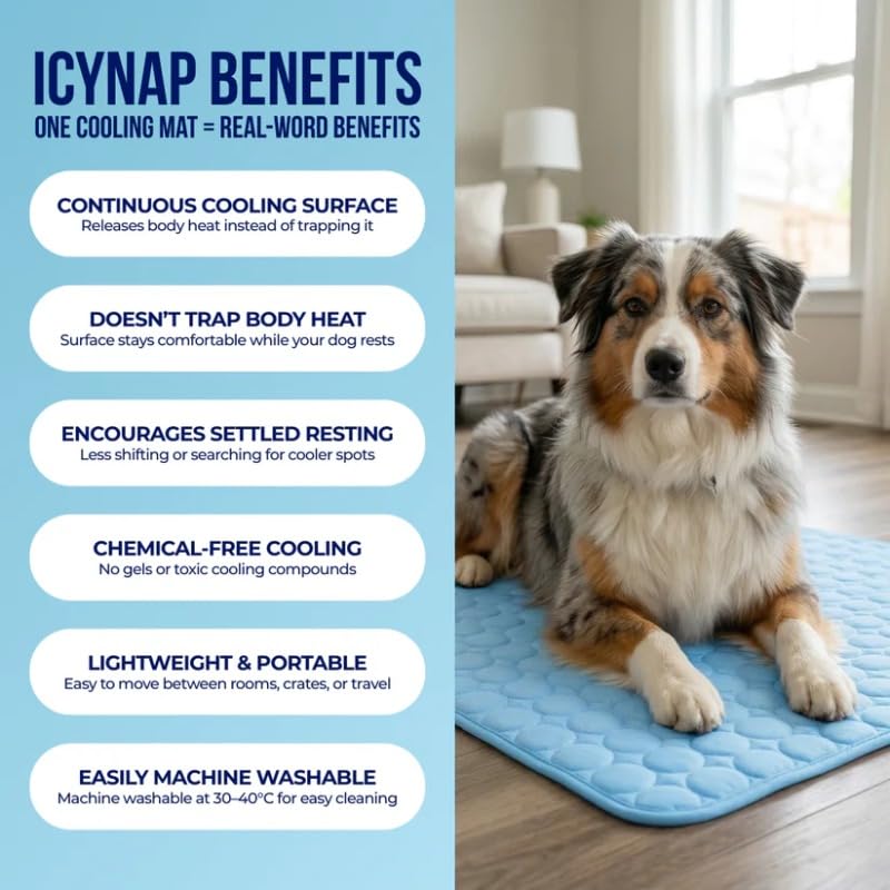 CoolPaw Self-Cooling Pad — No Water, No Fridge, Just Cool