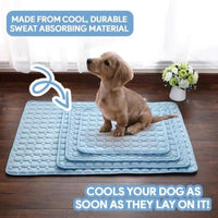 CoolPaw Self-Cooling Pad — No Water, No Fridge, Just Cool