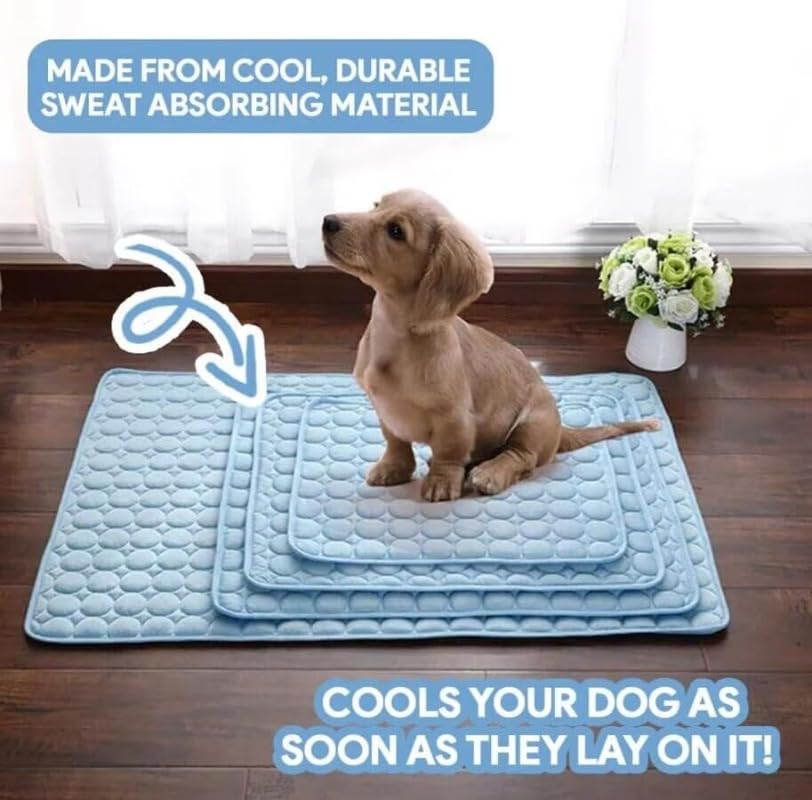 CoolPaw Self-Cooling Pad — No Water, No Fridge, Just Cool