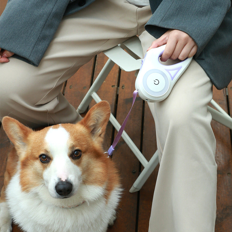 NightWalker™ Retractable Leash — Built-In Spotlight + Reflective