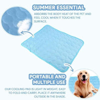 CoolPaw Self-Cooling Pad — No Water, No Fridge, Just Cool