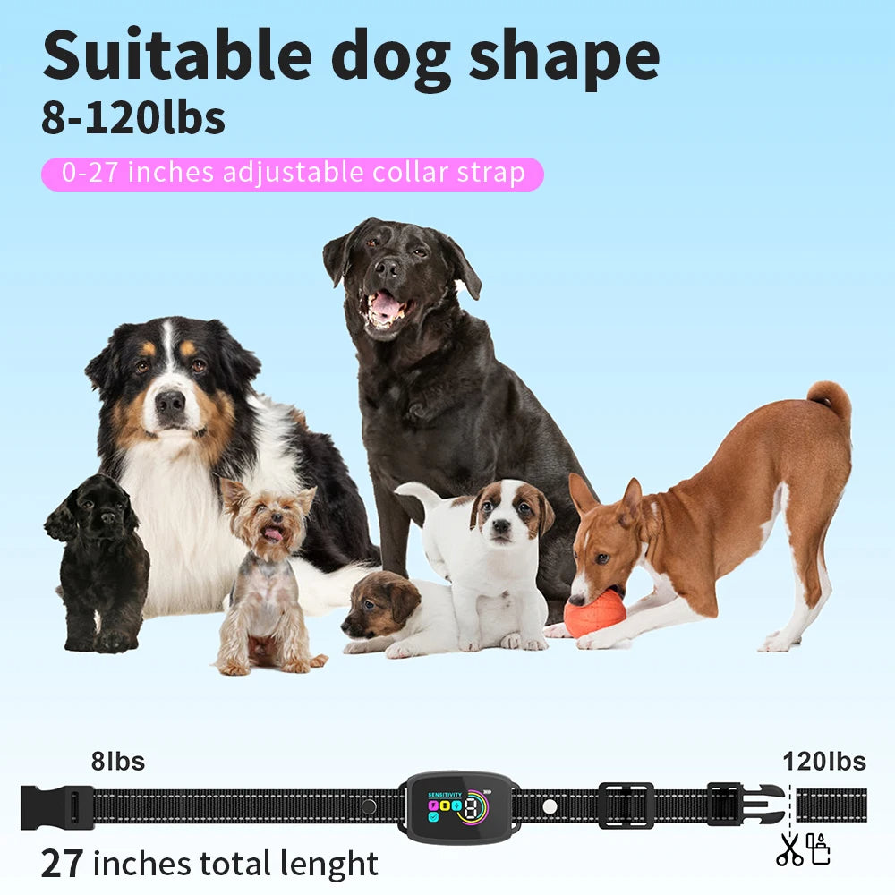 BarkSense™ Smart Collar — End Excessive Barking Humanely