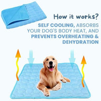 CoolPaw Self-Cooling Pad — No Water, No Fridge, Just Cool