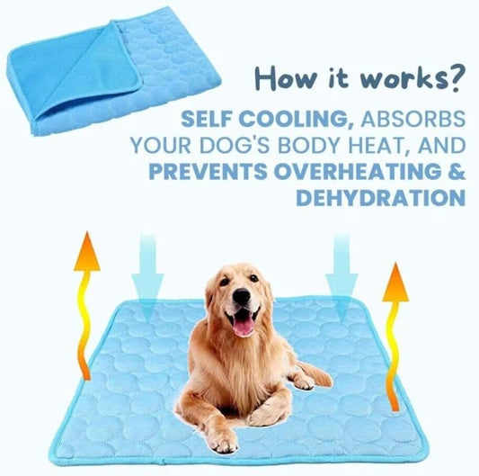 CoolPaw Self-Cooling Pad — No Water, No Fridge, Just Cool