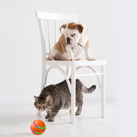 WickedBall™— The Self-Playing Cat Toy That Goes Viral