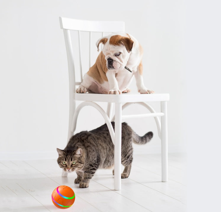 WickedBall™— The Self-Playing Cat Toy That Goes Viral