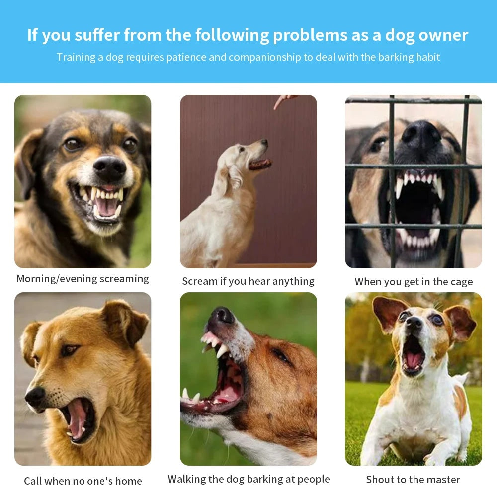 BarkSense™ Smart Collar — End Excessive Barking Humanely