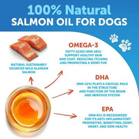 Happy dog with shiny coat after salmon oil supplement