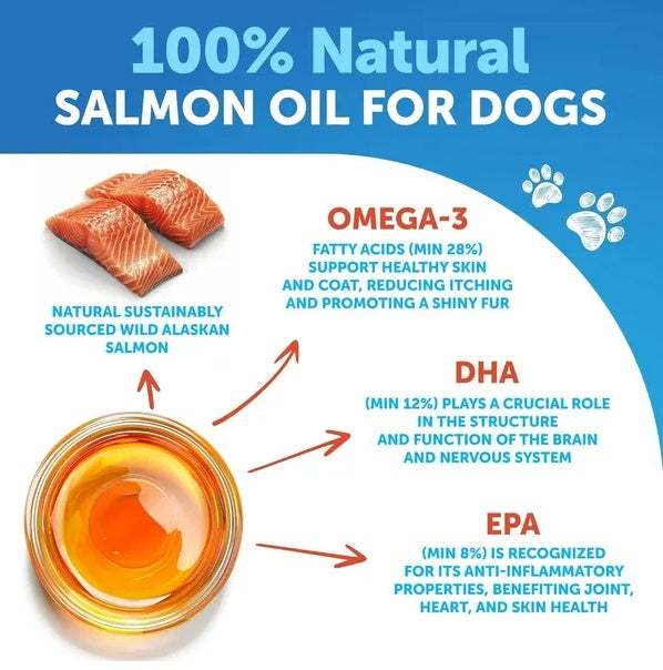 Happy dog with shiny coat after salmon oil supplement