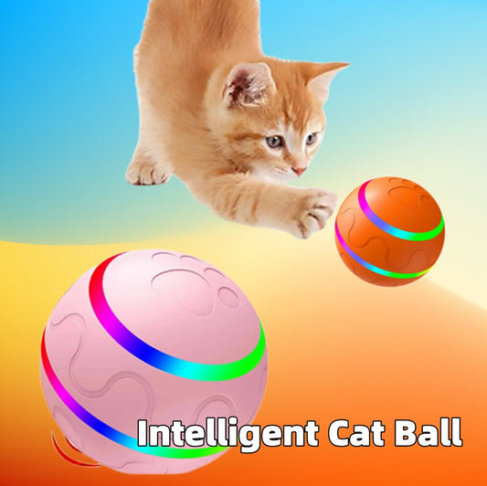 WickedBall™— The Self-Playing Cat Toy That Goes Viral