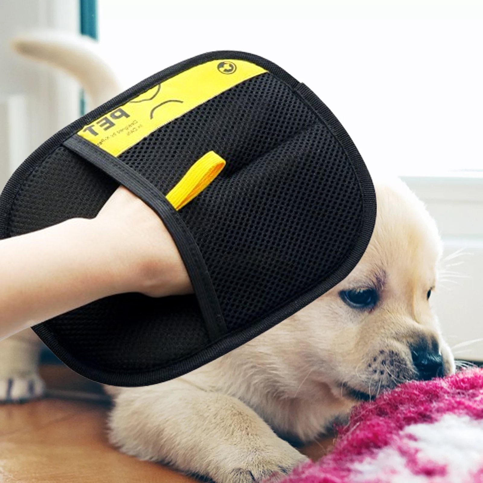 PawPerfect-Fur Remover Glove
