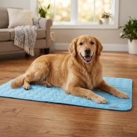 CoolPaw Self-Cooling Pad — No Water, No Fridge, Just Cool
