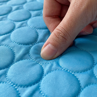 CoolPaw Self-Cooling Pad — No Water, No Fridge, Just Cool