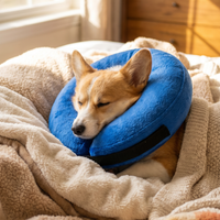 CozyCone™ Inflatable Recovery Collar — Soft Cone Alternative for Dogs & Cats