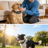 BarkSense™ Smart Collar — End Excessive Barking Humanely