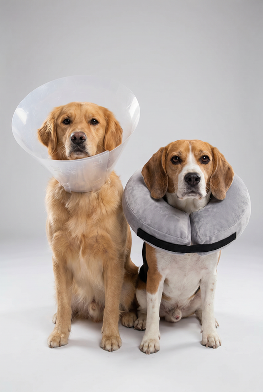 CozyCone™ Inflatable Recovery Collar — Soft Cone Alternative for Dogs & Cats