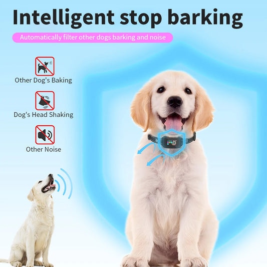 BarkSense™ Smart Collar — End Excessive Barking Humanely
