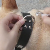 Automatic Telescopic Dog Luminous Traction Rope