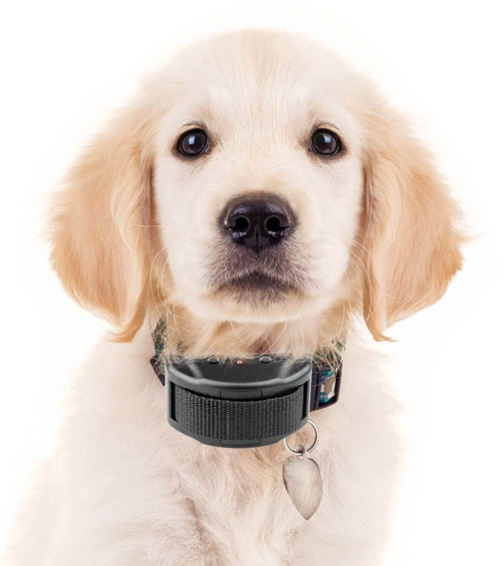 <p>BarkSense™ VS Shock Collar</p>
